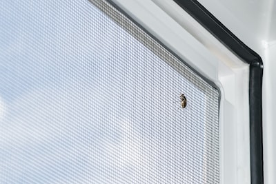 Les moustiquaires anti-mouche